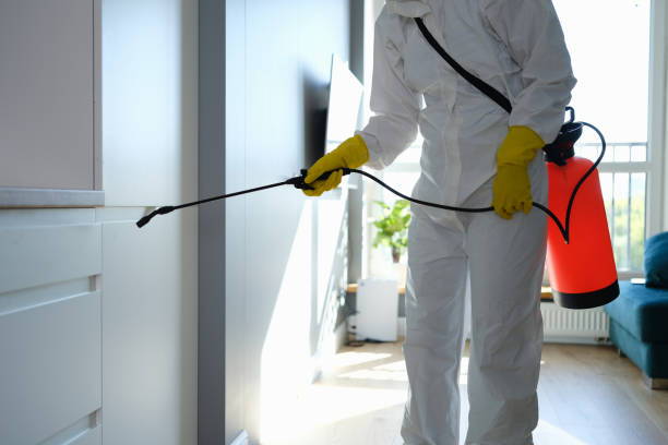 Best Mold Testing  in Steelevle, IL