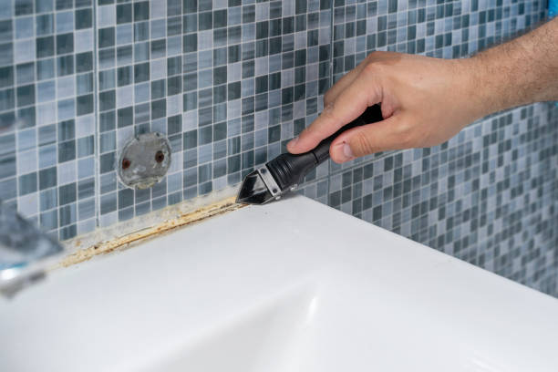 Best Toxic Mold Removal  in Steelevle, IL
